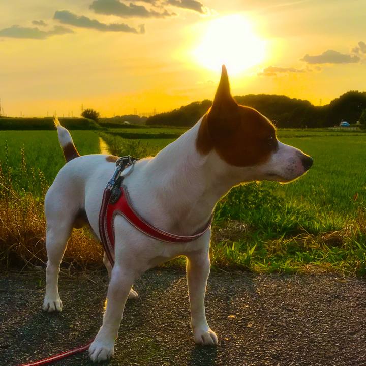 626012a4 ea9d 404c 9597 a82b8fe0c350