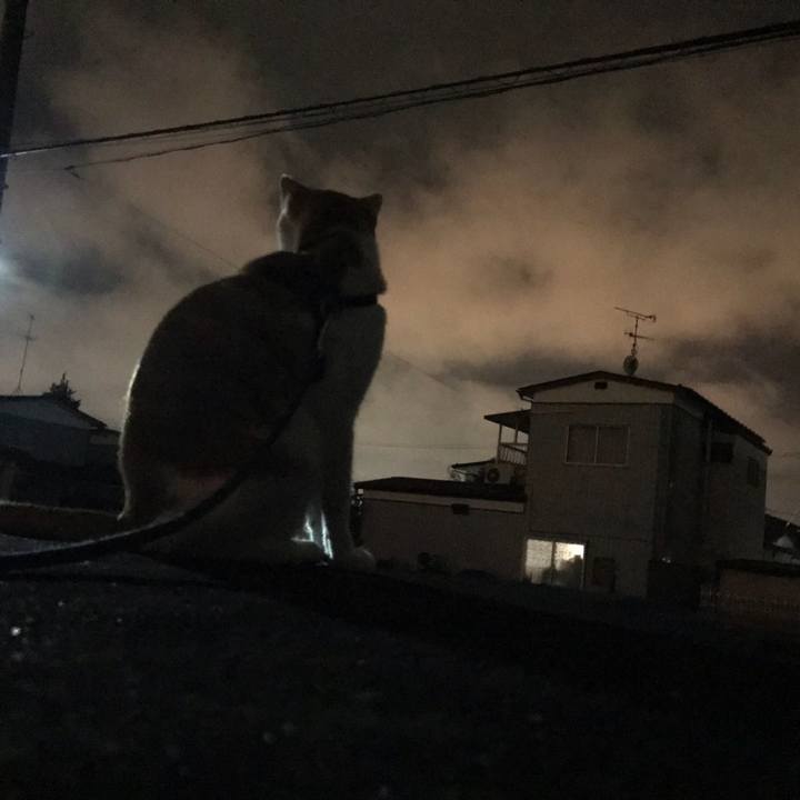 62601c1f ab34 4b5c 9c78 a7d60d74b186