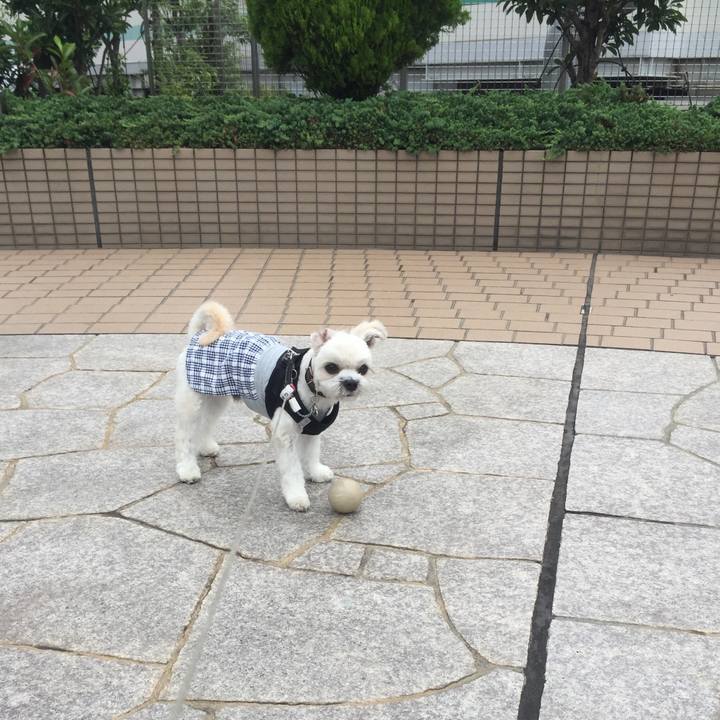 6260c973 6eec 43e4 96b2 316333336371