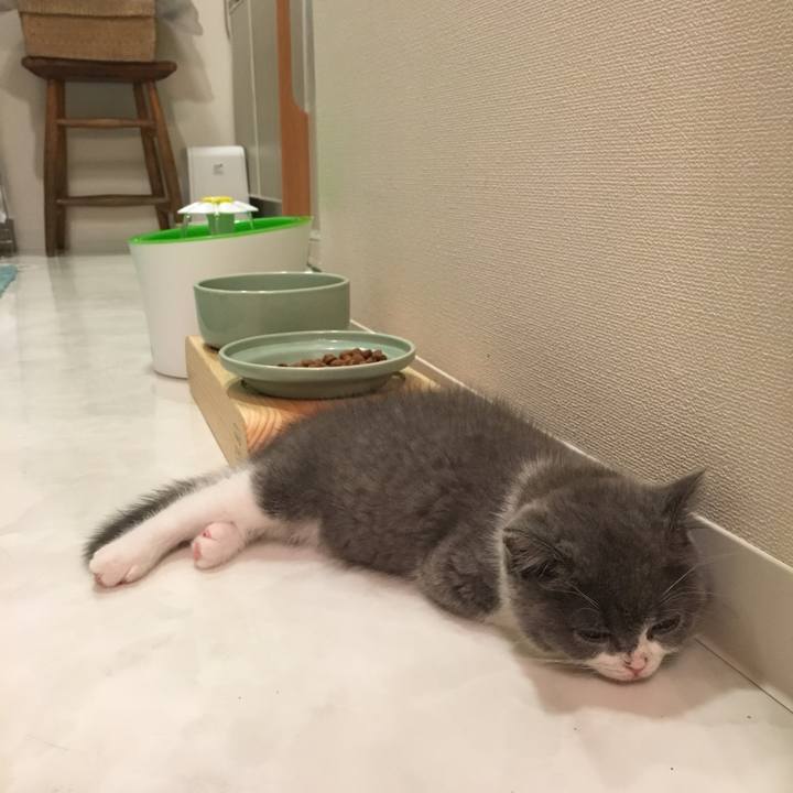 6260fb2d d2f5 4d93 a50d 62072f04cff1