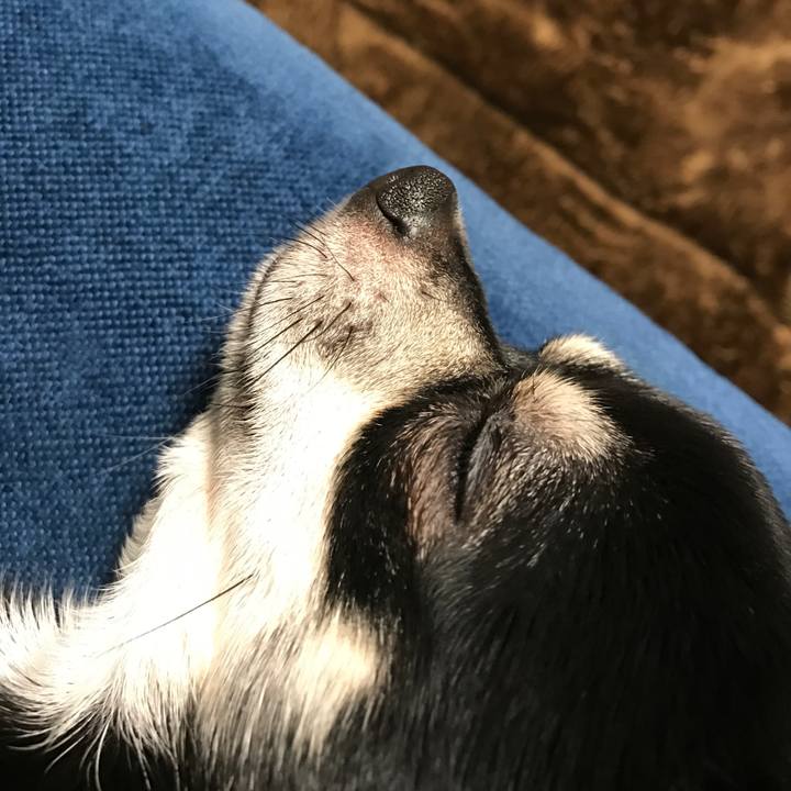 626151f7 fd4c 4802 affc 23973ff255d9