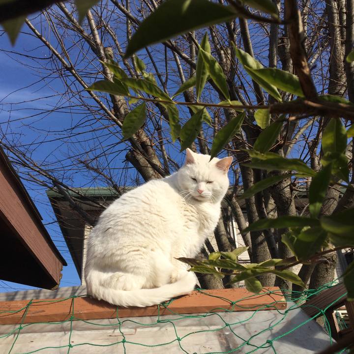 62619c86 7223 4da2 a0f8 a669341dd32e