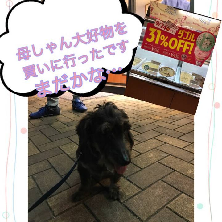 6261d48a 9a31 40d3 b7d0 6bfd581406e3