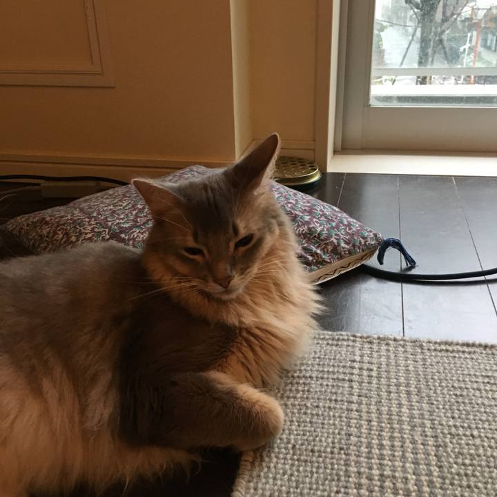 6261e37c 006f 4dfa 911d 19bb9f97123d