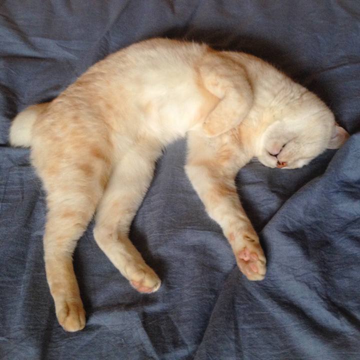 6261e3a0 0839 41b8 b66a f09934363926