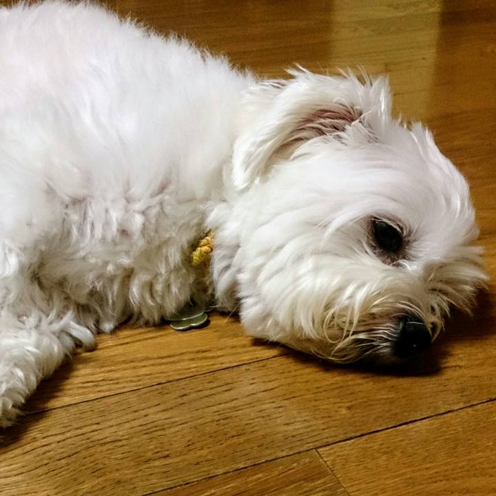 62620157 36b4 4844 9257 237164e140e1