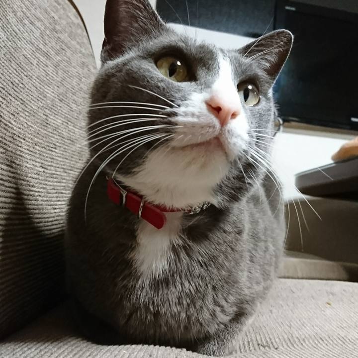 6262ea8e 1900 46c5 875b fcf696300bc5