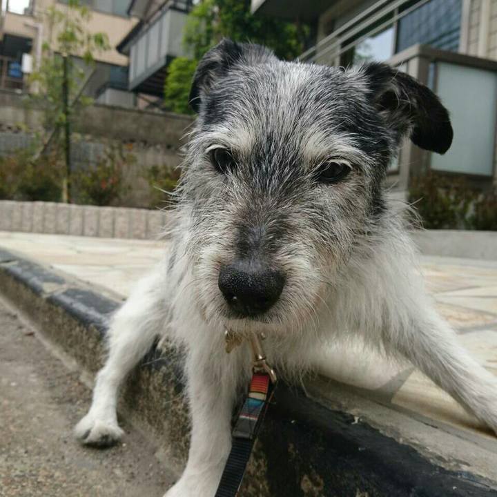 6263ddb3 397d 42c1 81c7 b1541e770ceb