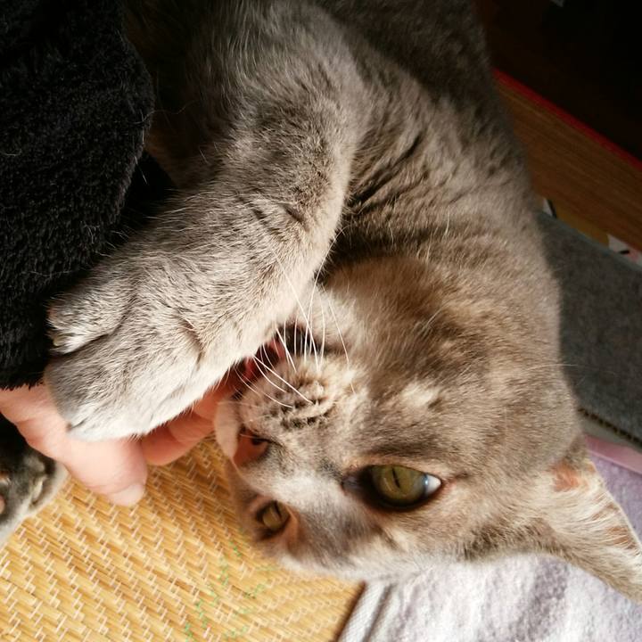 6264e27b 3d7d 49d0 9f07 03d817e4c46f