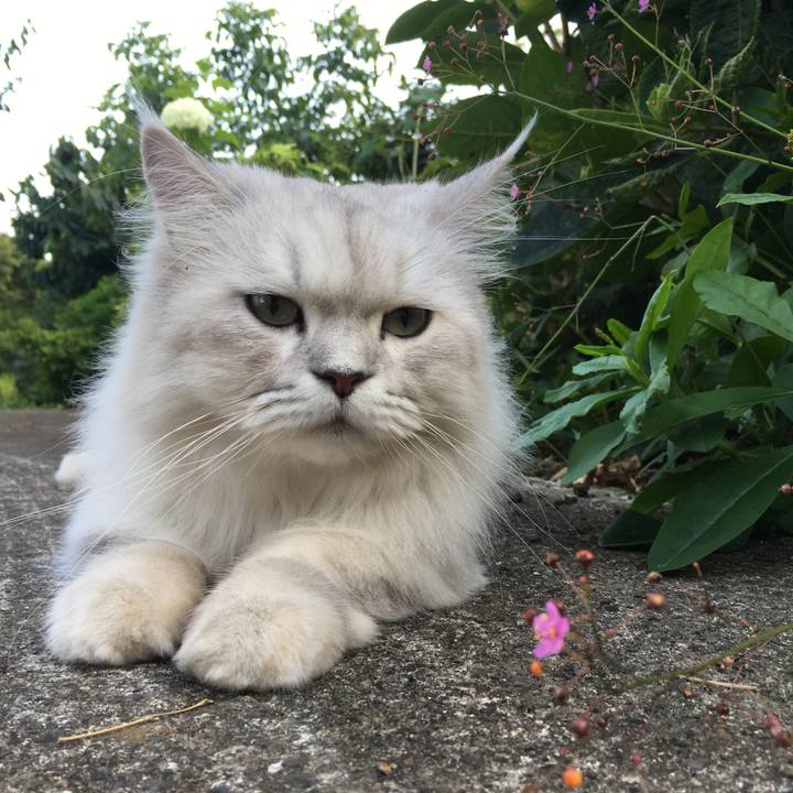 62658048 f7c6 4bb7 a5b4 603d91b65d17