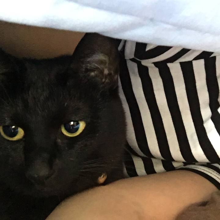 6266b1a7 0e4e 4b2d aef4 2163feca309d