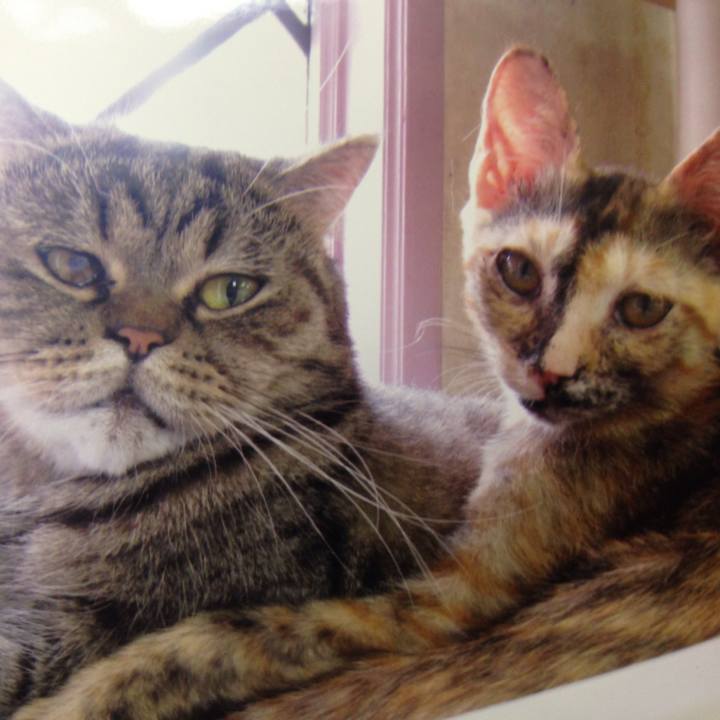 62675044 ebaa 4b74 ac31 a9e136dbe14a