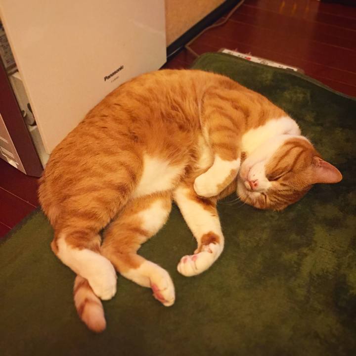 62677662 69a0 4676 82b0 58ab0ad2c88f