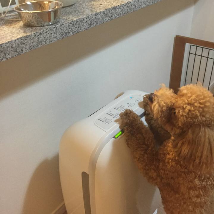 6267b35a 6d70 428b 8f39 7ee9ca388cfb