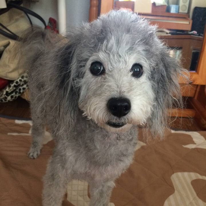 6267ebc9 822b 4402 be5c c82f972ba457