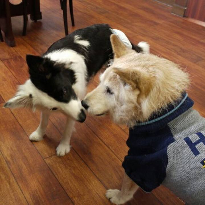 62680455 9f2e 41b8 8511 ede50f001f02