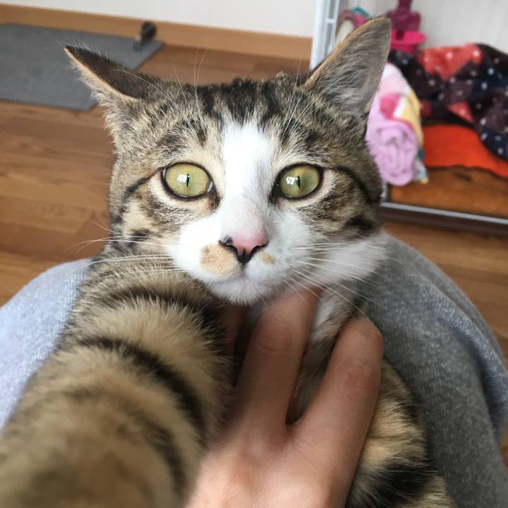 62680d49 e014 4261 aa40 ecd9c6a53b56