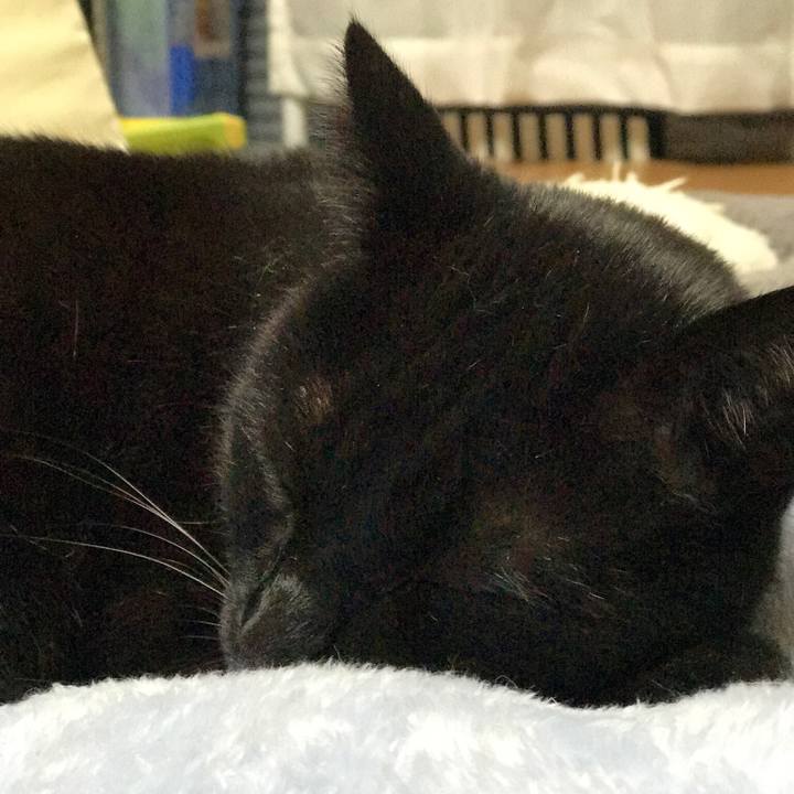 62684d24 b77d 4083 a4f5 76fb1a077a27