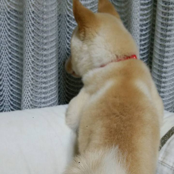 6268546c 8de0 4593 b5d1 e93df370a372