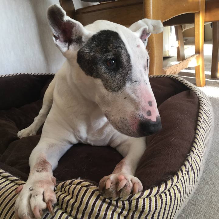 6268771d 1f1f 467c ad41 2335d439cec6