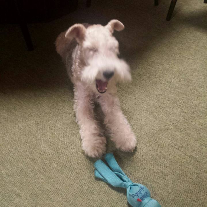 62687842 ae21 42fb b786 d7ec60b63477