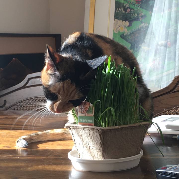 6268f778 0758 4637 89a3 63c36ebc7997