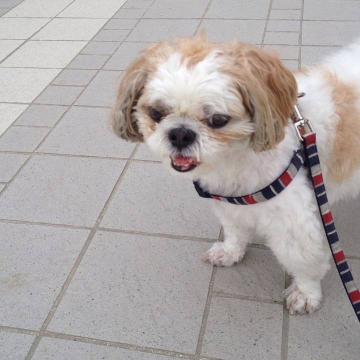 62690524 c935 4b60 bdd3 de7e8db2a306