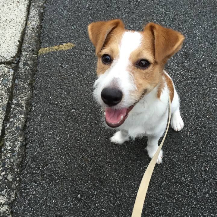 62696807 59b2 4192 a3db 17fd5fb26b2d