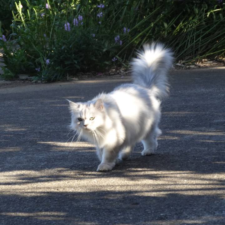 62696ca1 730d 4714 9104 8ad2567e5097