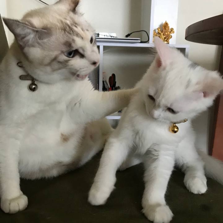 626974f1 4358 4753 ad3d 783cb427cb7f