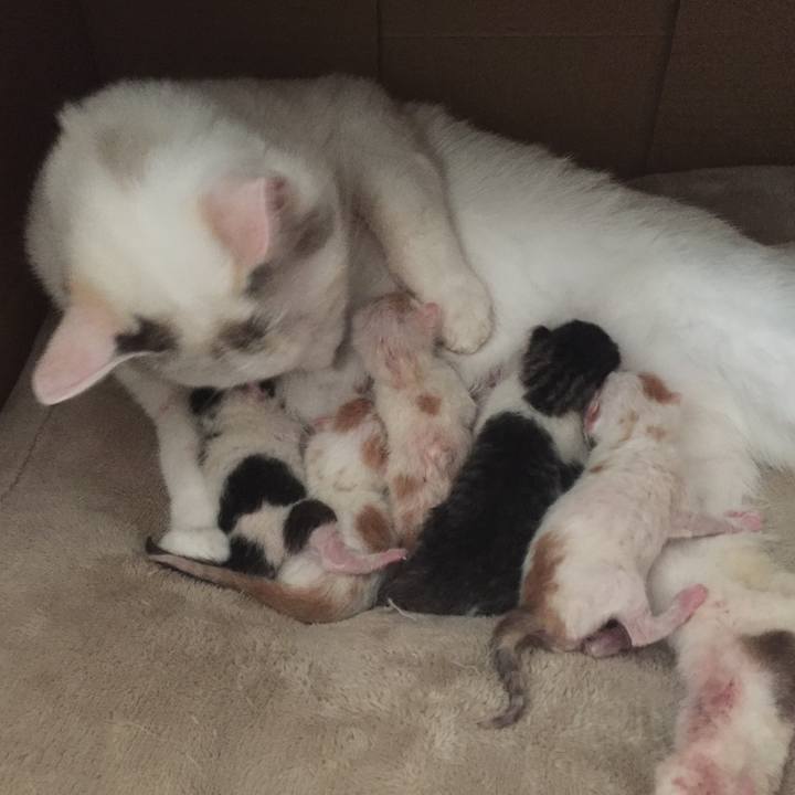 626a11f1 39fa 4127 b451 f486f868cf59