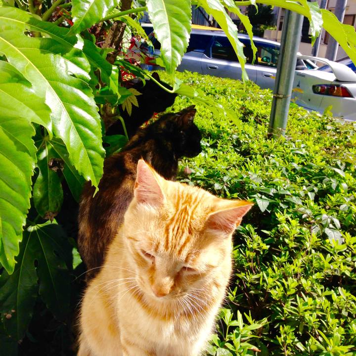 626a79c6 c506 4d3e a6df 530c80c2c8a5