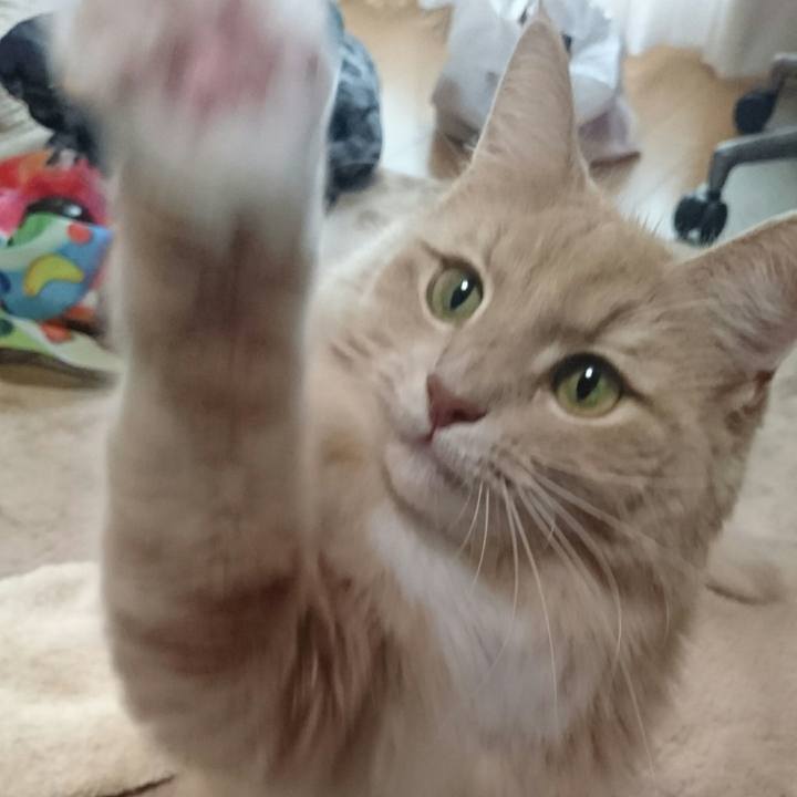 626ad153 4a2e 4d86 92c0 405360762fef