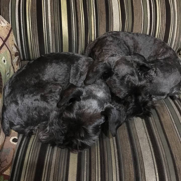 626bc6ff 9bfa 482d b4de 8de4bbbcc039