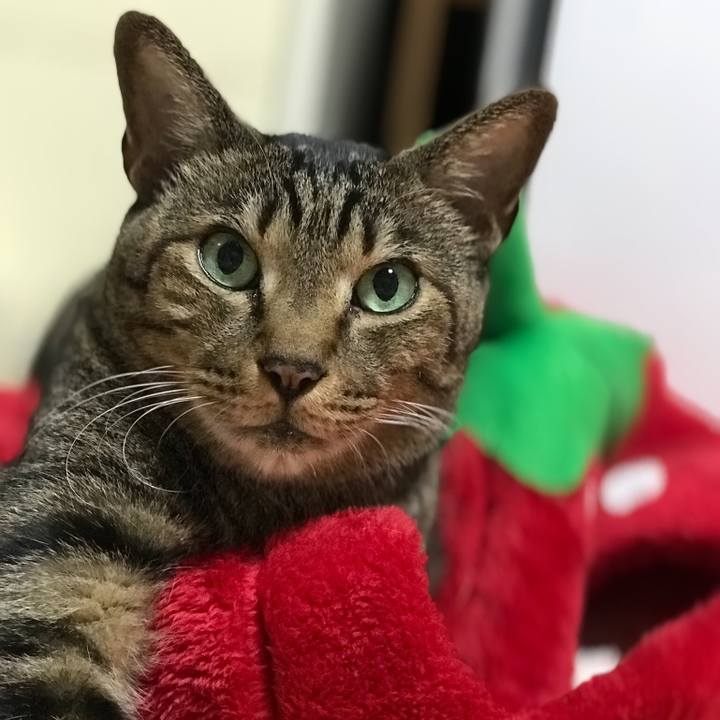 626bf221 d859 41fc a06d efd971309b0d