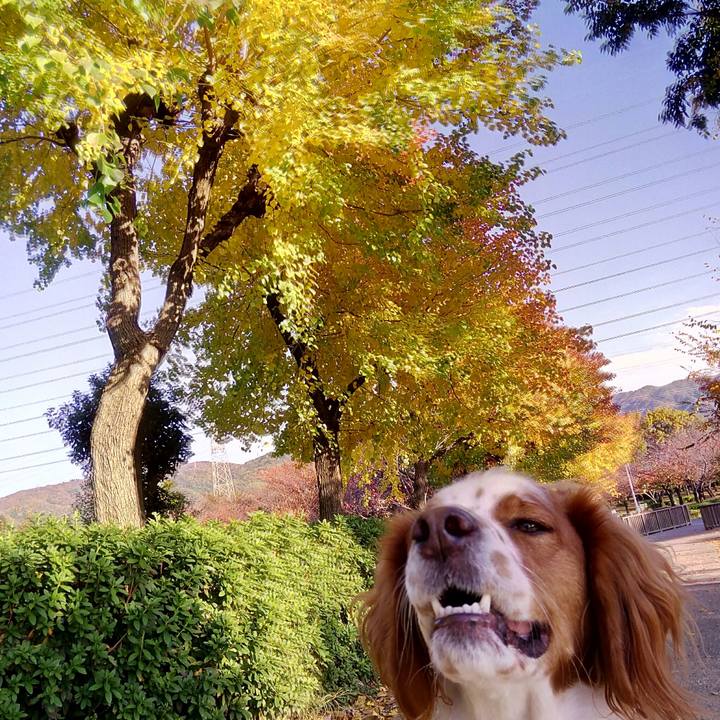 626c7220 7eaf 4fc1 b5ca 4ed33a203ea1