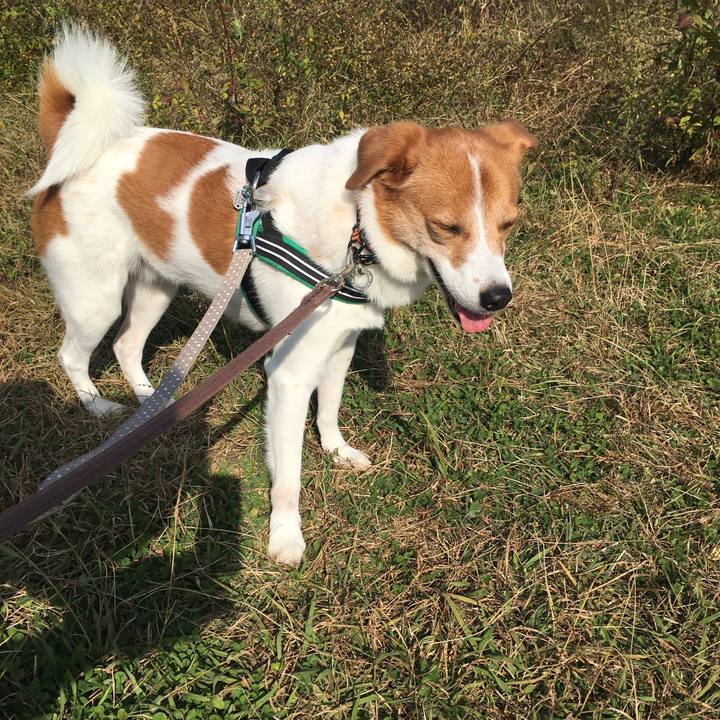 626dc79c c1c1 4373 baf7 79988a045a50