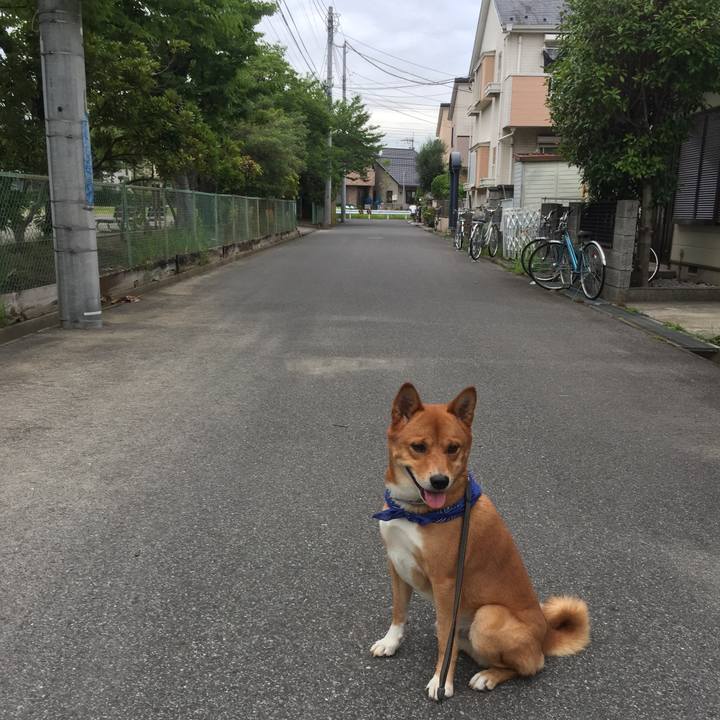 626e4996 5f8f 4f52 9576 f28f0ea2cc45