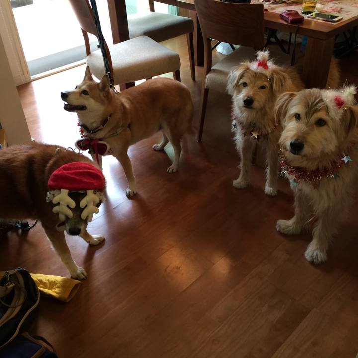 626e6b17 78d7 4a84 8f03 9afd7d9ff0de