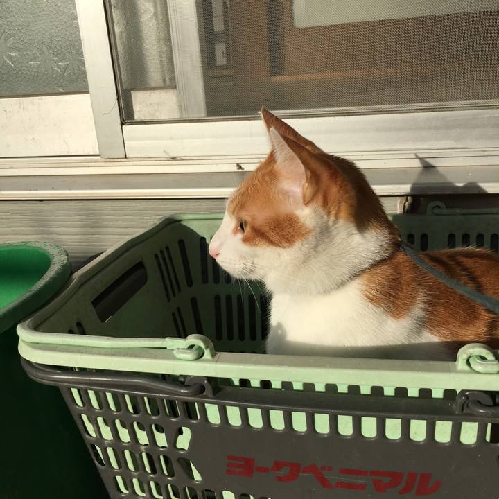 626ea40b ab9e 49cc b632 da21ad034e35