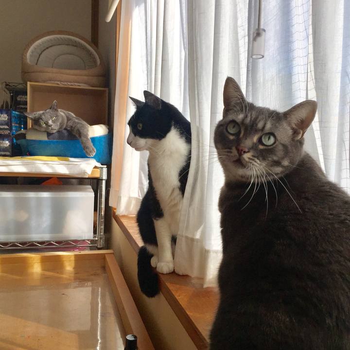 626eac23 3224 4e98 92b0 a56afe2f33d8