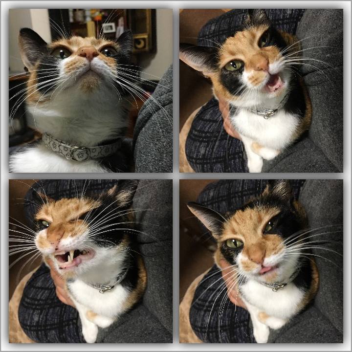 626f0140 4e86 46ec a2d8 70e719c777eb