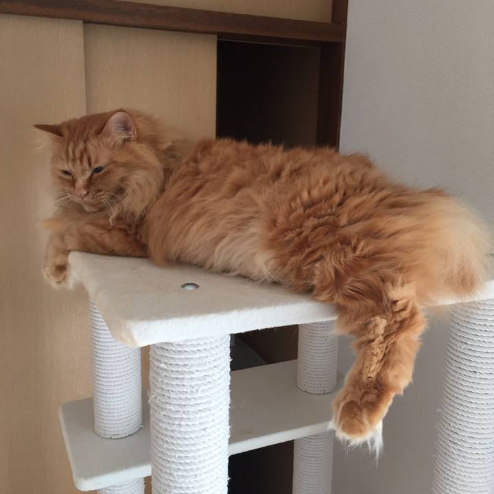 626f9cf9 3740 4daa 8a9b e0d350e9bc56