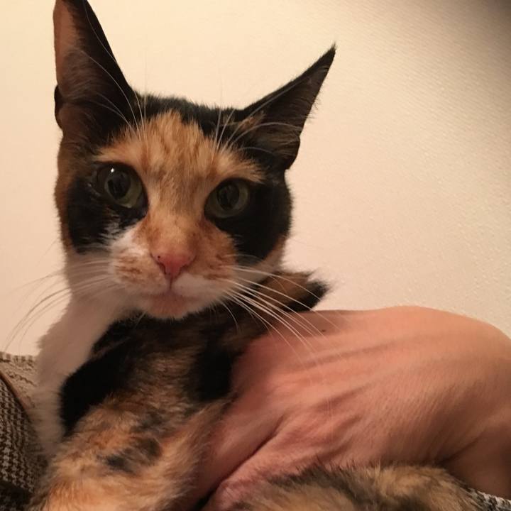 626f9dd7 3e4d 4c3f 9989 96d2959bd91a