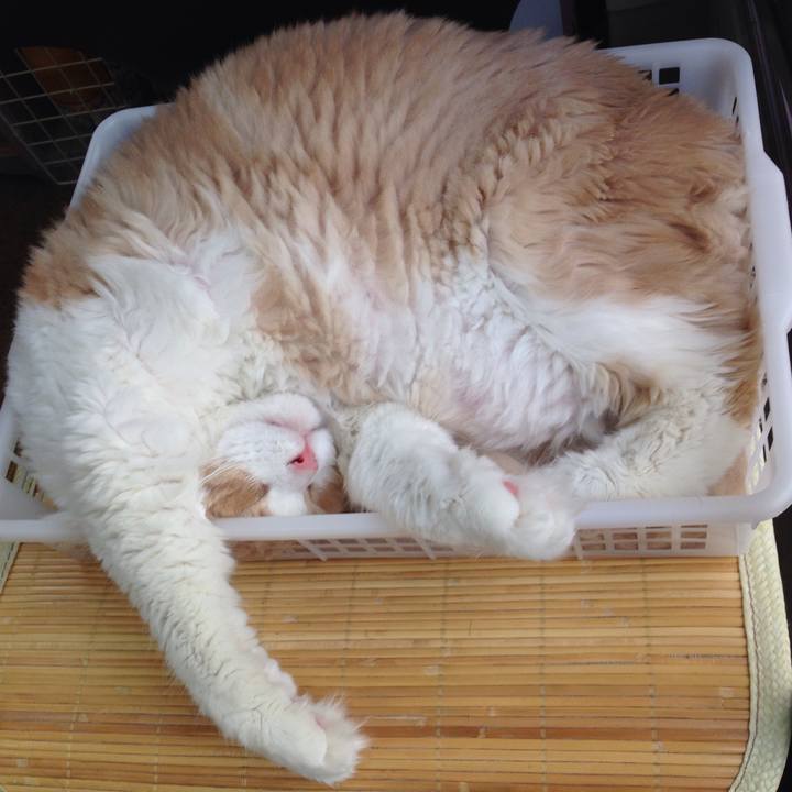 626fd18c 47c6 4eab 8a86 62ea872cbdec