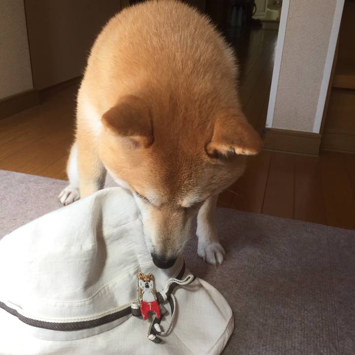 62701c57 06bf 46f9 9033 58c8f83d4266