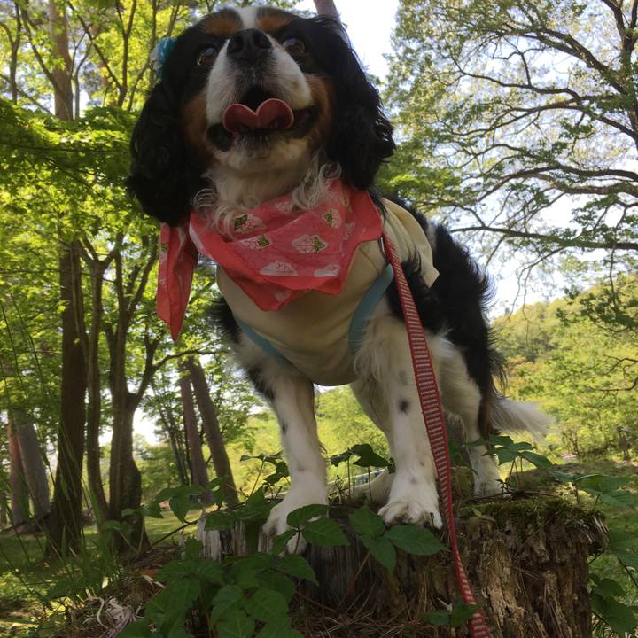 6270bba1 b4cc 4f6b 9d8b e527d23d3047