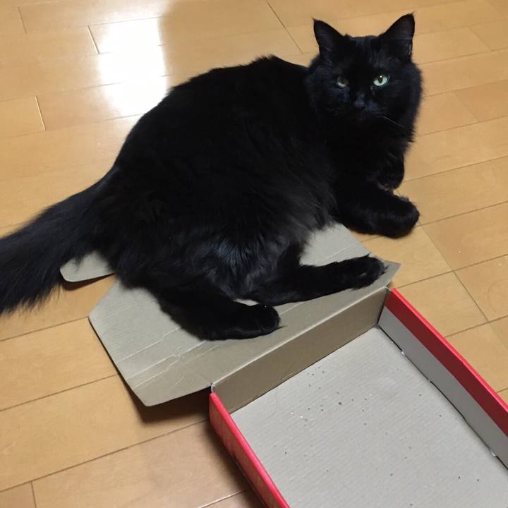 6270ec2e 98c2 4956 8ba9 263751e4b7e7