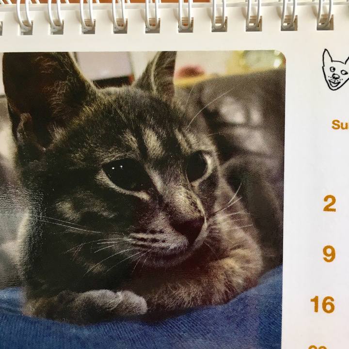 6272d435 96d7 42d8 b75d 5c57b4bea3af