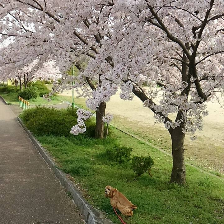 6273078f 6ea6 431d aaf2 156e9fff7fde